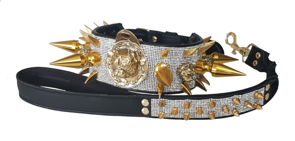 collar y correa personalizados para perros brillante con pinchos
