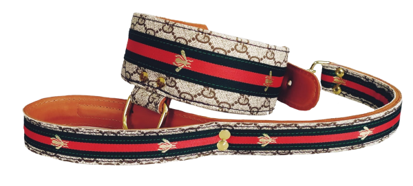 collar gucci personalizado para perros