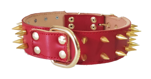 collar personalizado para perros rojo con pinchos dorados