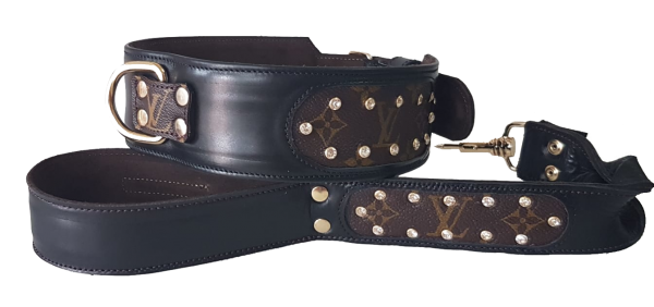 collar y correa personalizados para perros negro con remaches