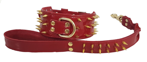 collar y correa personalizados para perros rojo con pinchos dorados