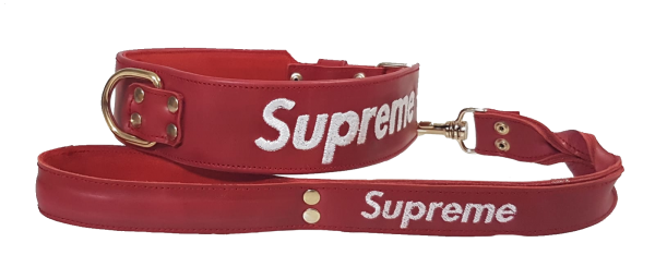 Collar supreme para perros Bully Collars