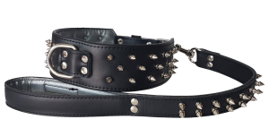 collar y correa personalizados para perros negro con pinchos