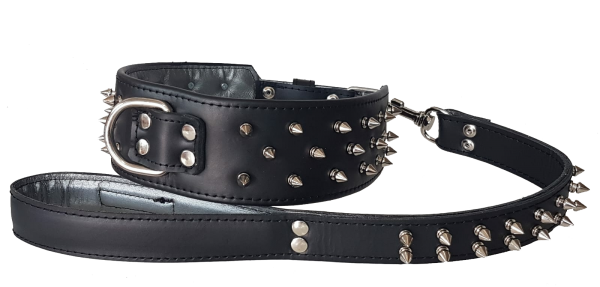 collar y correa personalizados para perros negro con pinchos