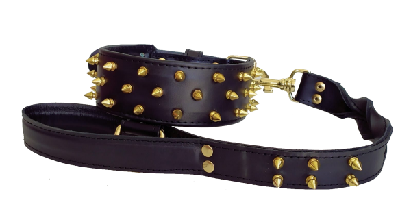 collar y correa personalizados para perro negro con pinchos dorados