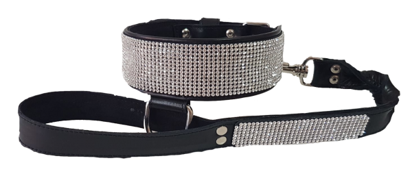 collar y correa personalizados para perros brillante