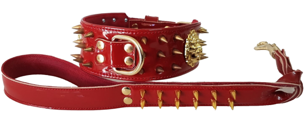 collar y correa personalizado para perros con pinchos