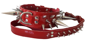 collar y correa personalizados rojo con pinchos plateados