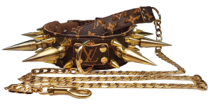 collar y correa personalizados para perros con pinchos dorados