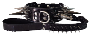 collar y correa personalizados para perros negro con pinchos