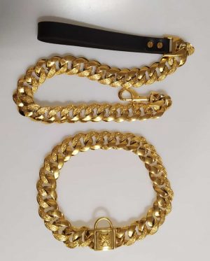 collar para perros personalizado de oro