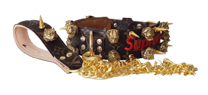 collar y correa personalizados para perros supreme dorado