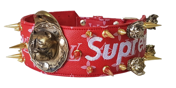 collar para perros personalizado supreme