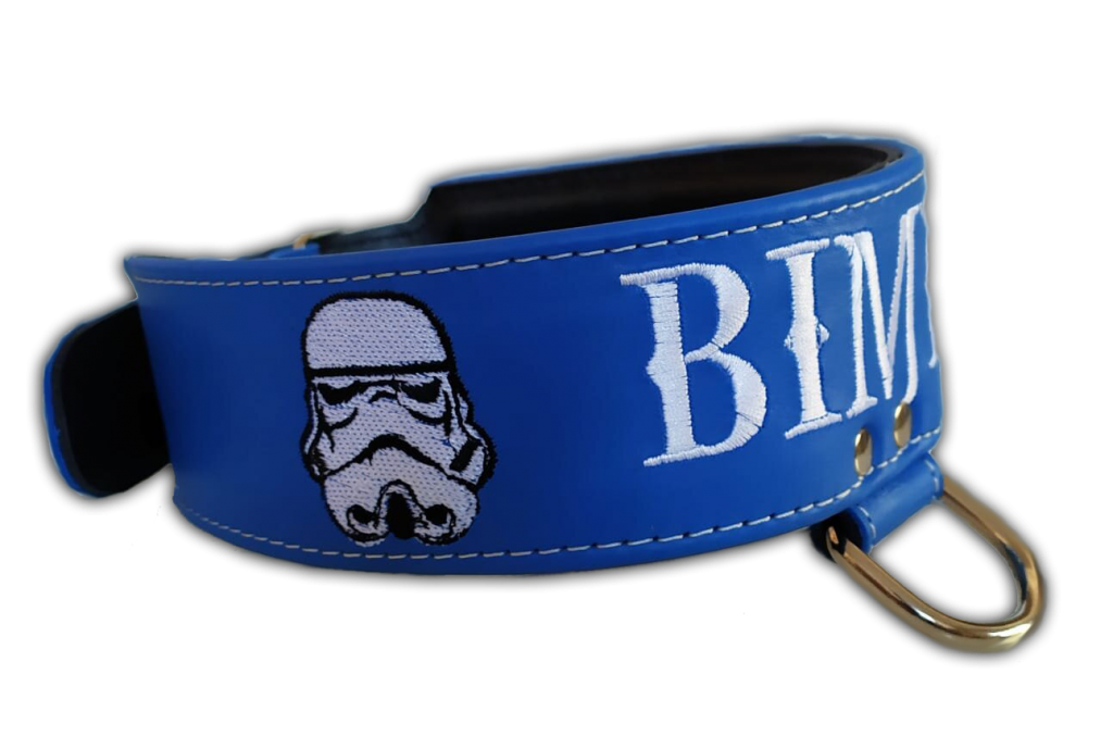 Collar personalizado para mascotas azul