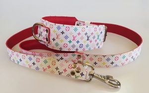 collares personalizados para perros bully collars