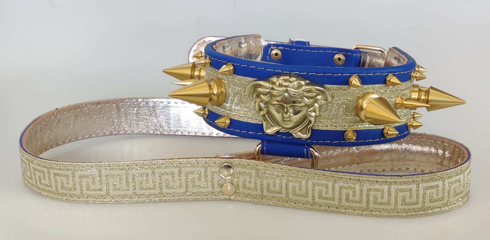Collar y correa medusa azul