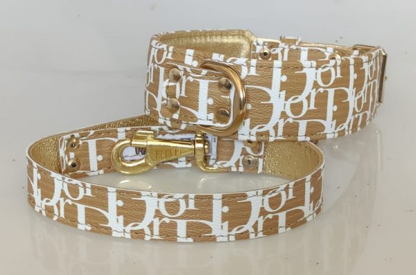Collar y correa LV Dior
