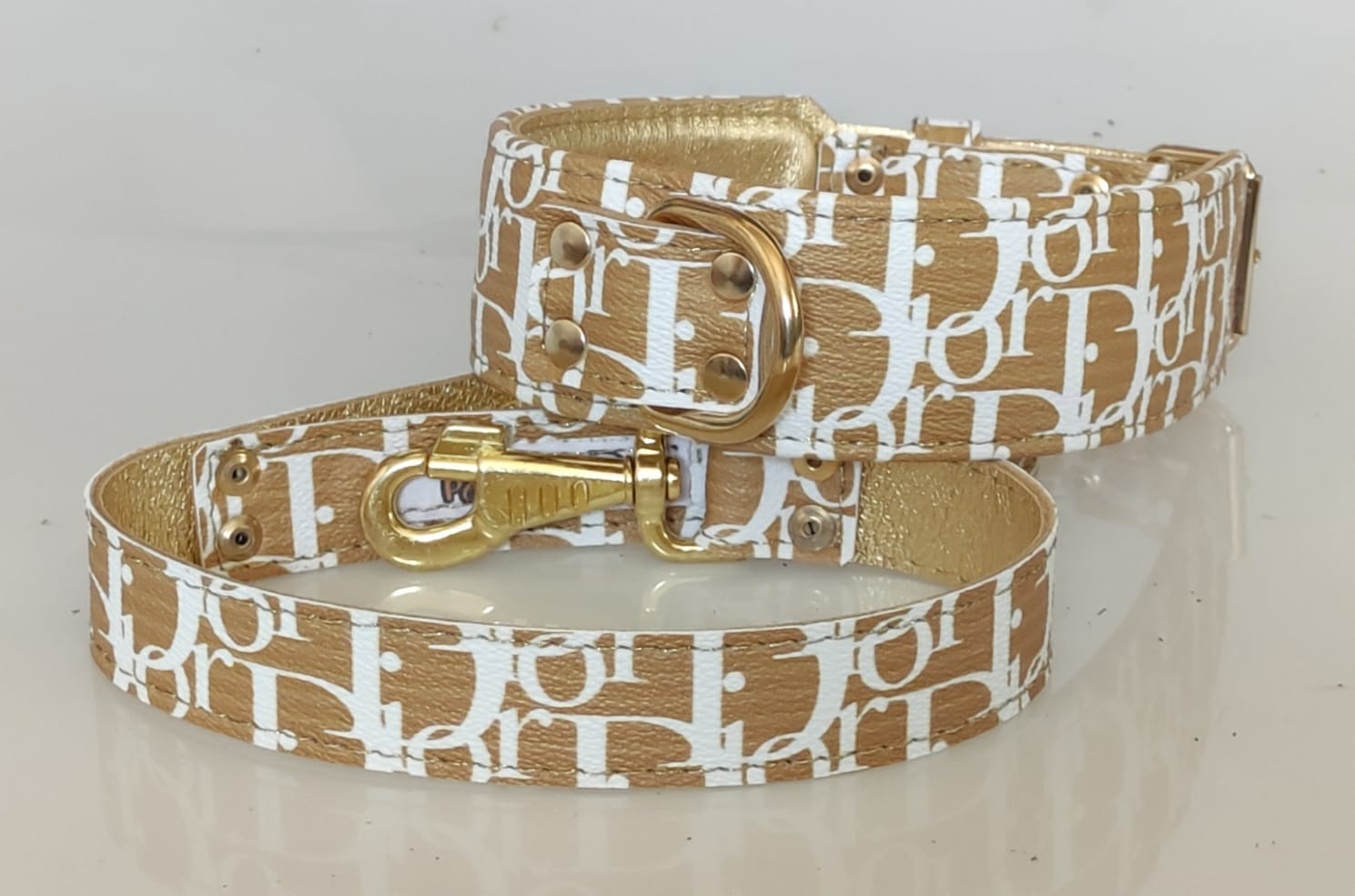 Collar y correa LV Dior