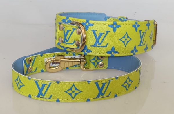 Collar y correa LV Blue and Yellow