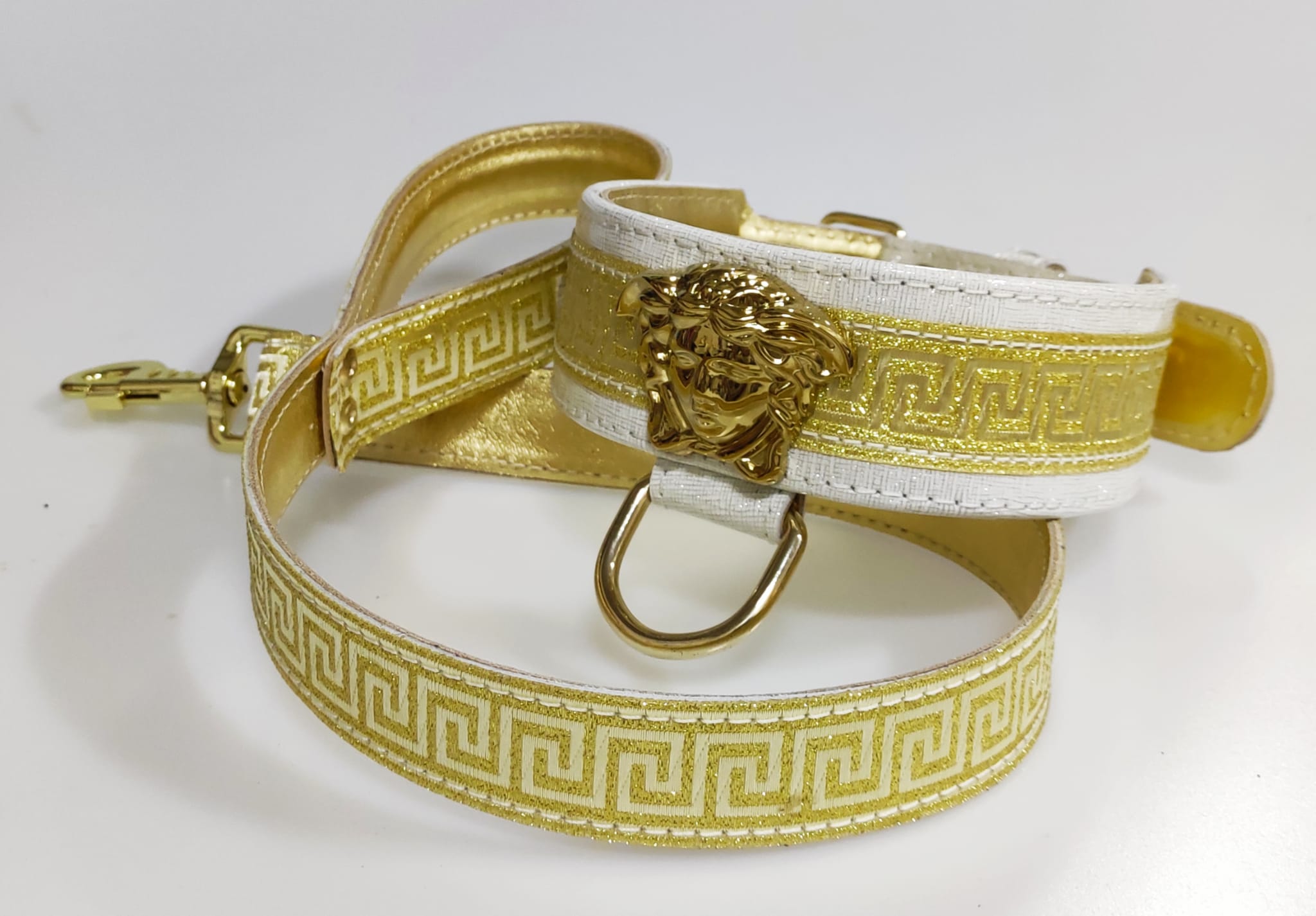Collar y correa White Medusa